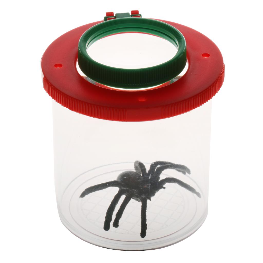 Plastic Magnifier Bug Catching - Science Nursery review and price