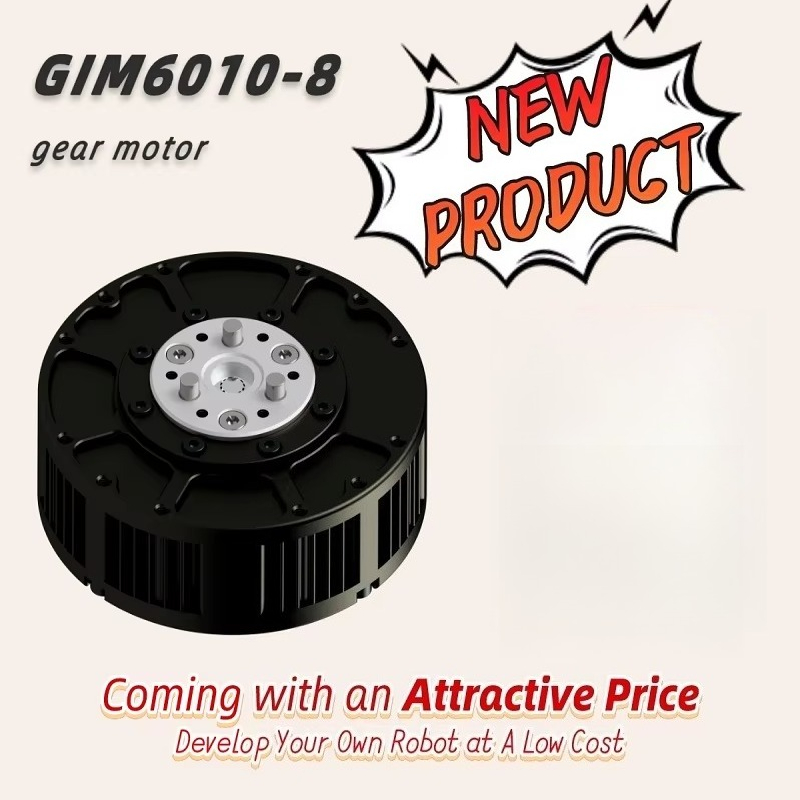 5NM Planetary Reducer Motor GI - Robot Arm Motor review and price